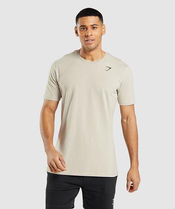 Gymshark Essential T Shirts Herr Grå | SE 3800KOR